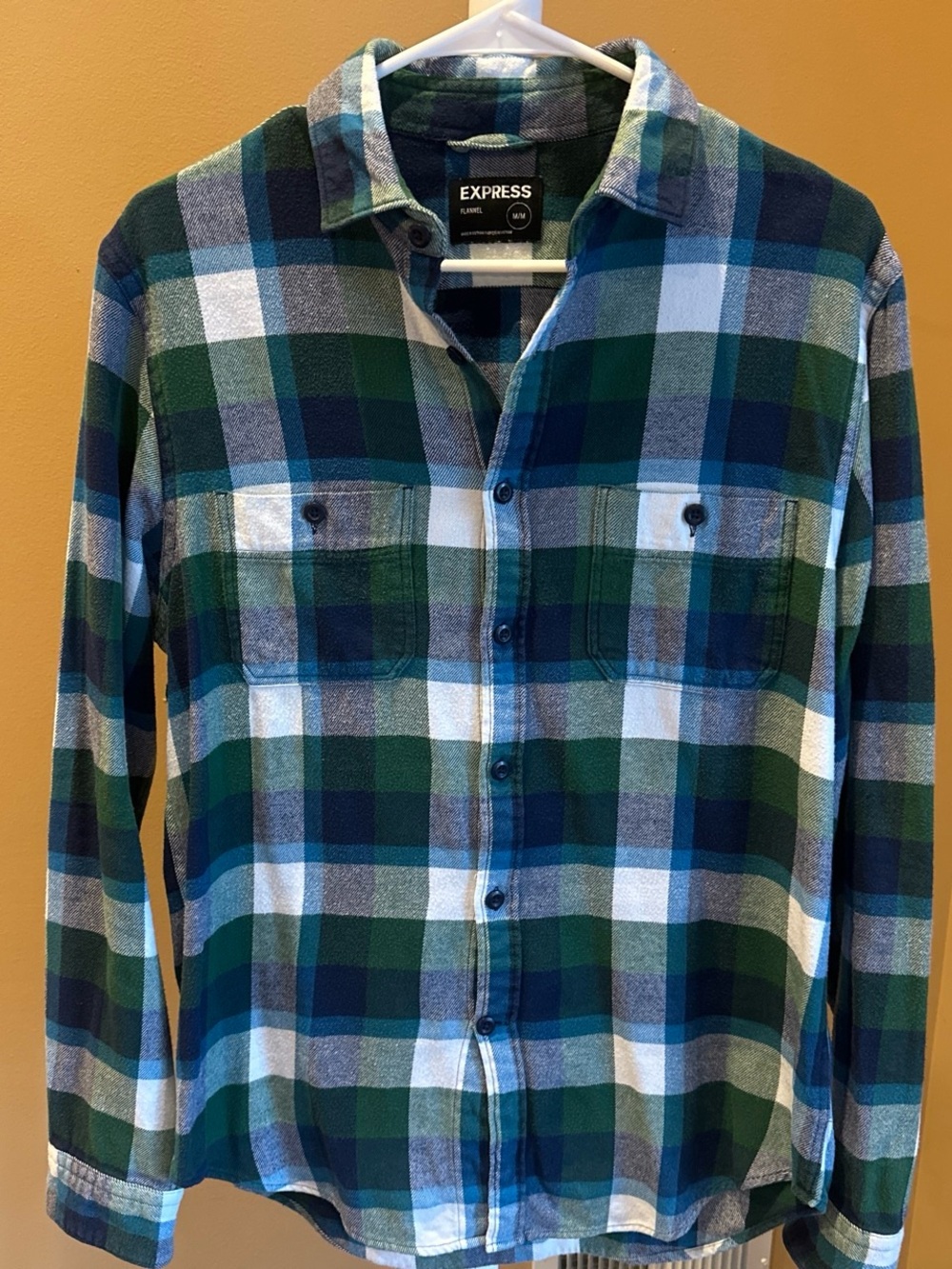 Express Men's Green, Blue & White Plaid Button-Down Shirt